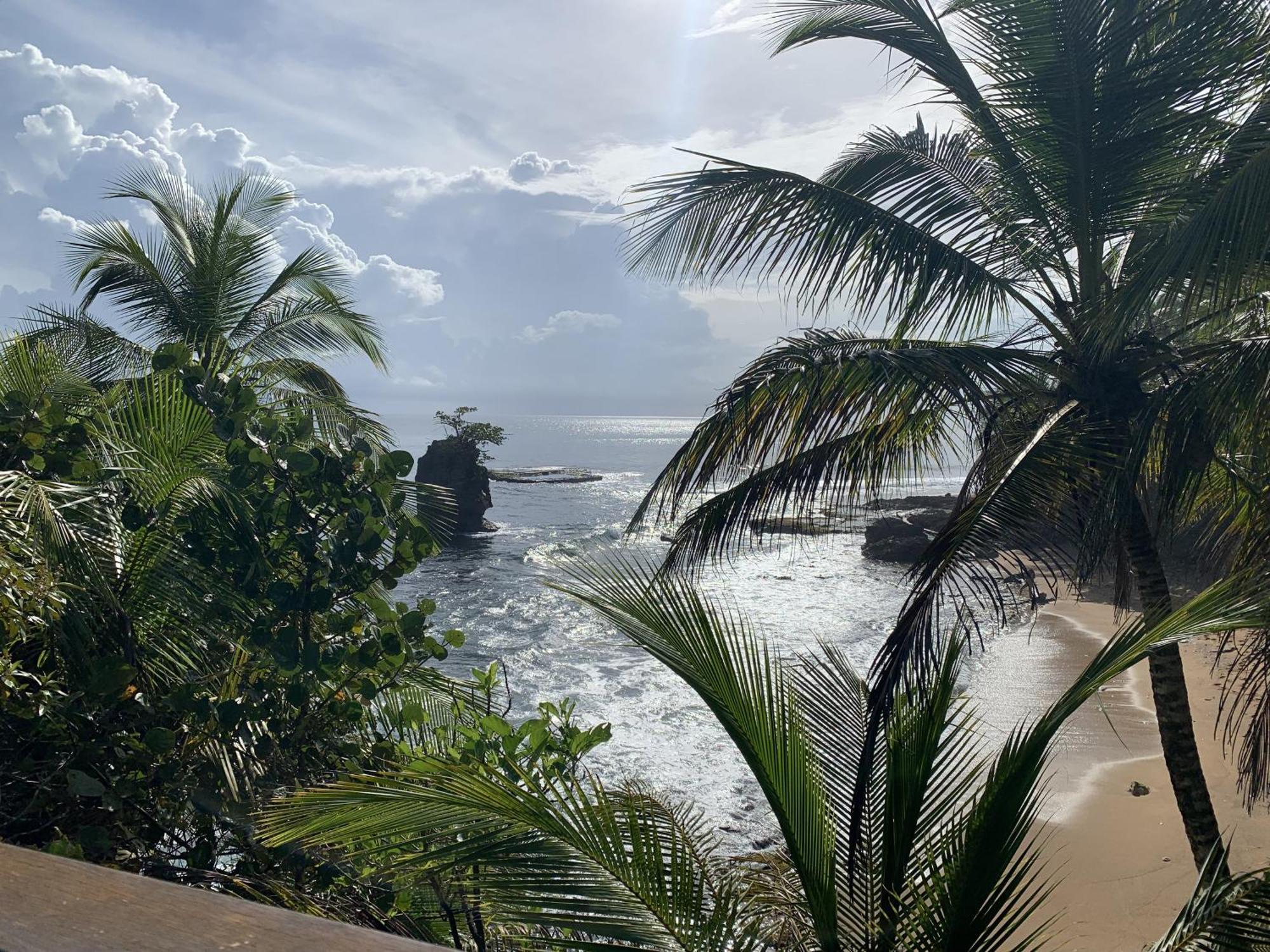 Casa Blanca Beachfront House With Shared Pool Access Pangea Lodge Мансанильо Экстерьер фото